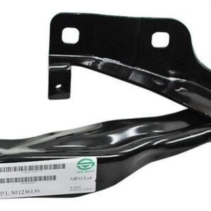 BISAGRA COFRE MAXIMA 09-15 DER