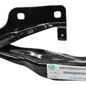 BISAGRA COFRE MAXIMA 09-15 IZQ