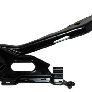 BISAGRA COFRE FORD PU 15-17 DER