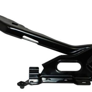 BISAGRA COFRE FORD PU 15-17 IZQ